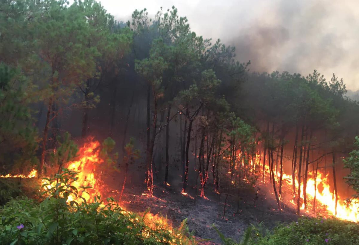 Cao điểm mùa khô: ‘Báo động đỏ’ cháy rừng
